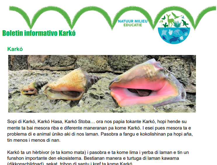 Education infobladen