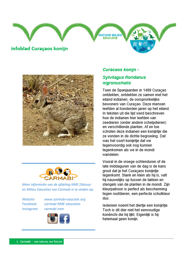 infoblad curacaos konijn