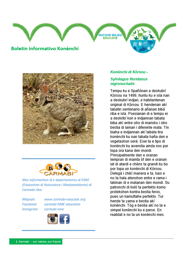 boletin informativo konenchi