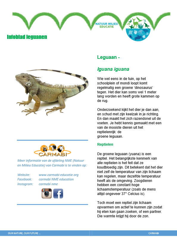 infoblad leguaan