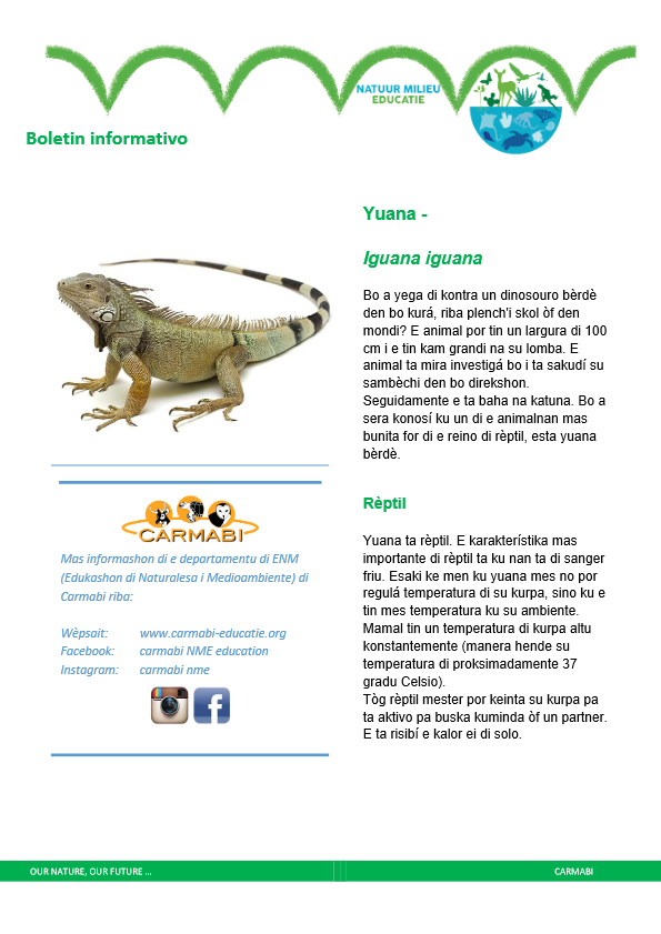 boletin informativo iguana