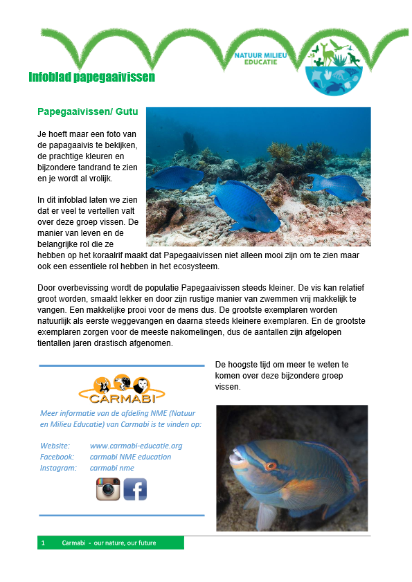 infoblad papegaaivissen