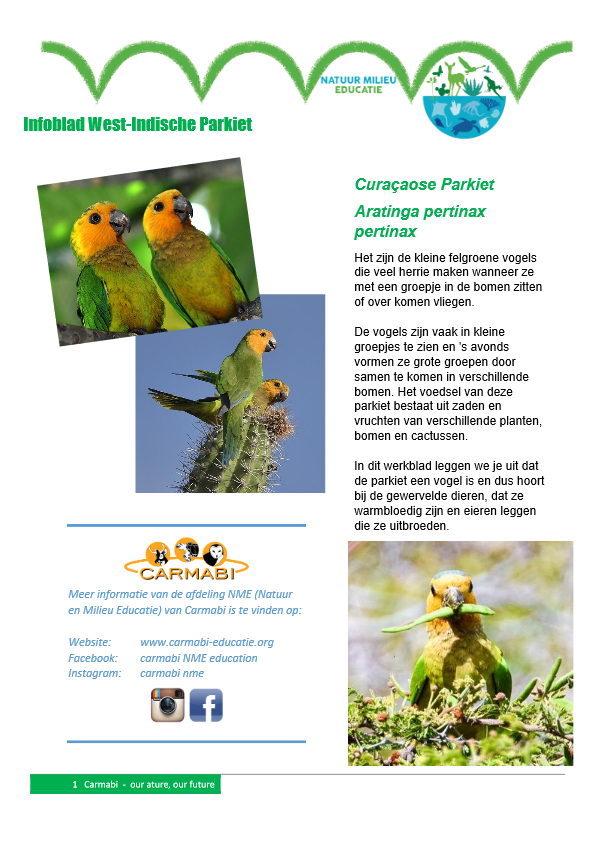 infoblad parkieten