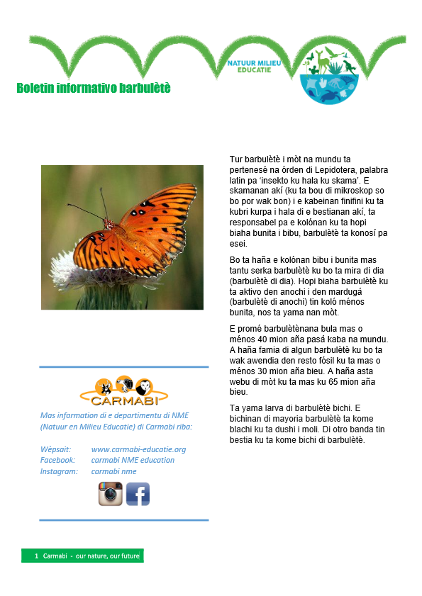 boletin informativo barbulete