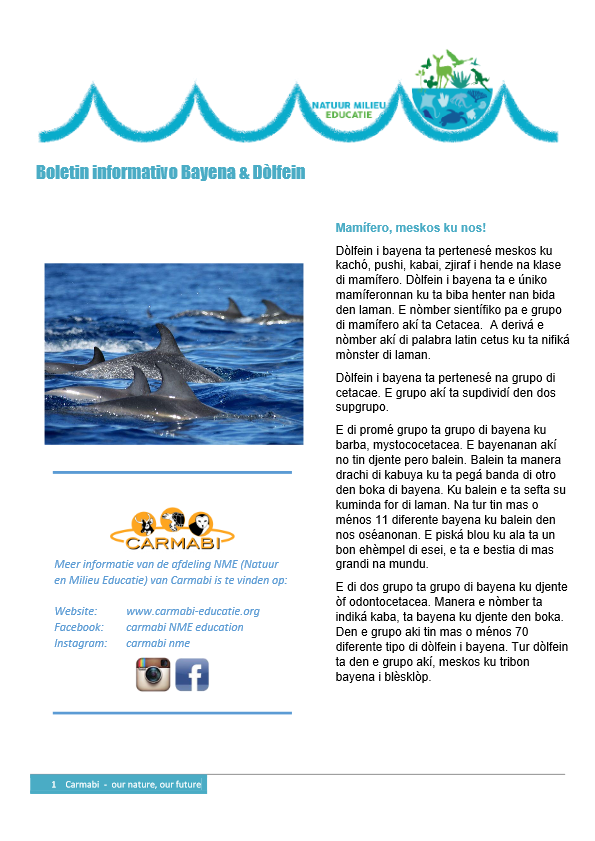 boletin informativo bayena 2