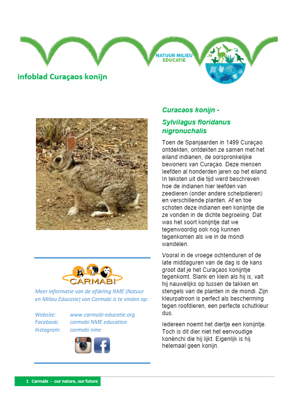 infoblad konijn