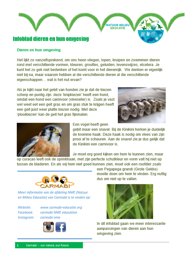 infoblad dieren en hun omgeving