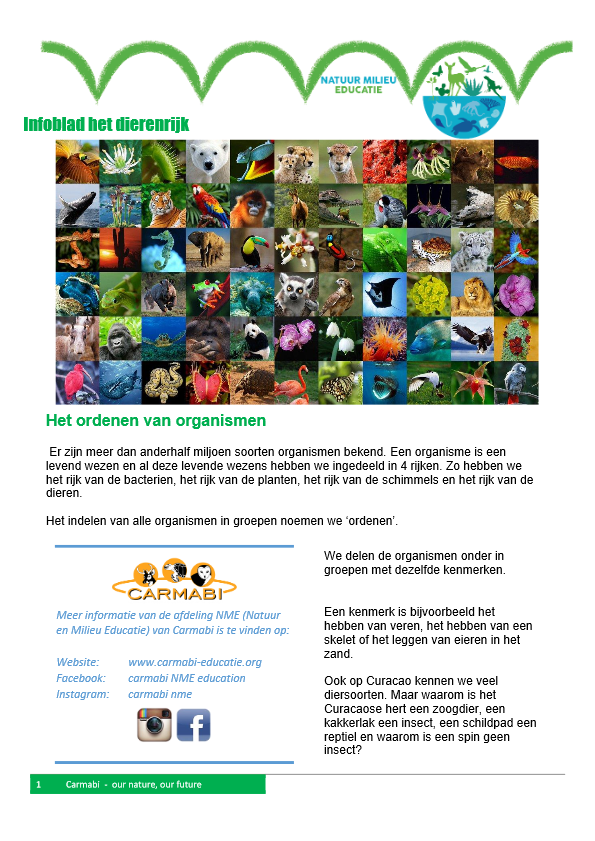 infoblad dierenrijk