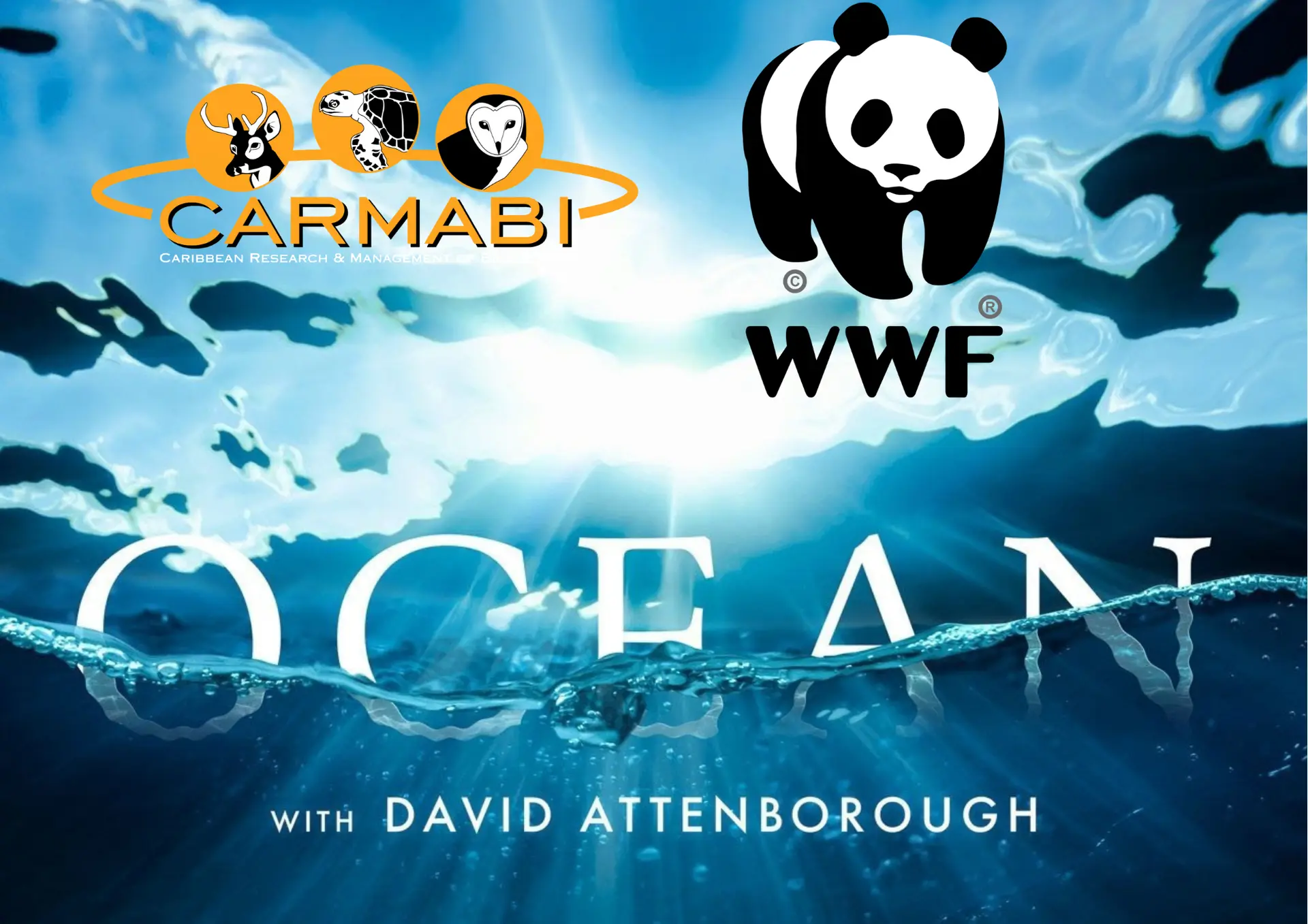 Movie 'Ocean' David Attenborough (14.00-15.30) | Carmabi