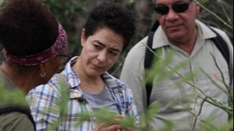 Odoo - Sample 3 for three columns