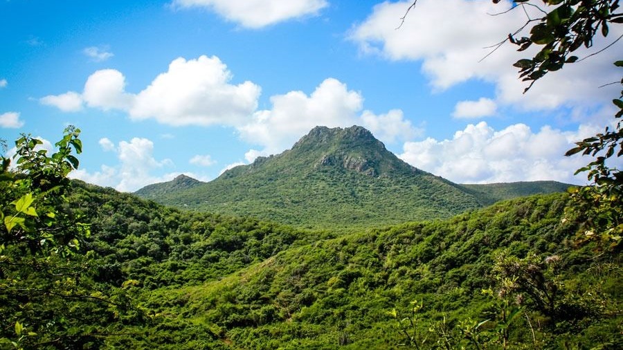 Odoo - Sample 2 for three columns