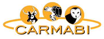 CARMABI FOUNDATION