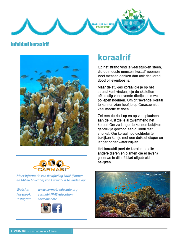 infoblad koraalrif