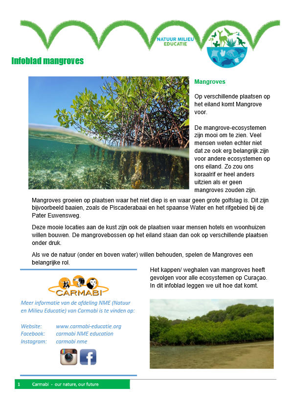 infoblad mangroves