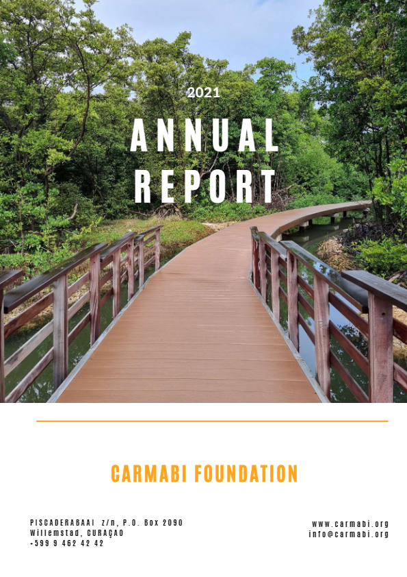 Annual report 2021