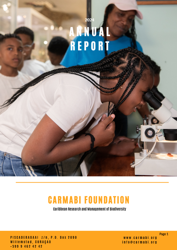 Annual report 2024