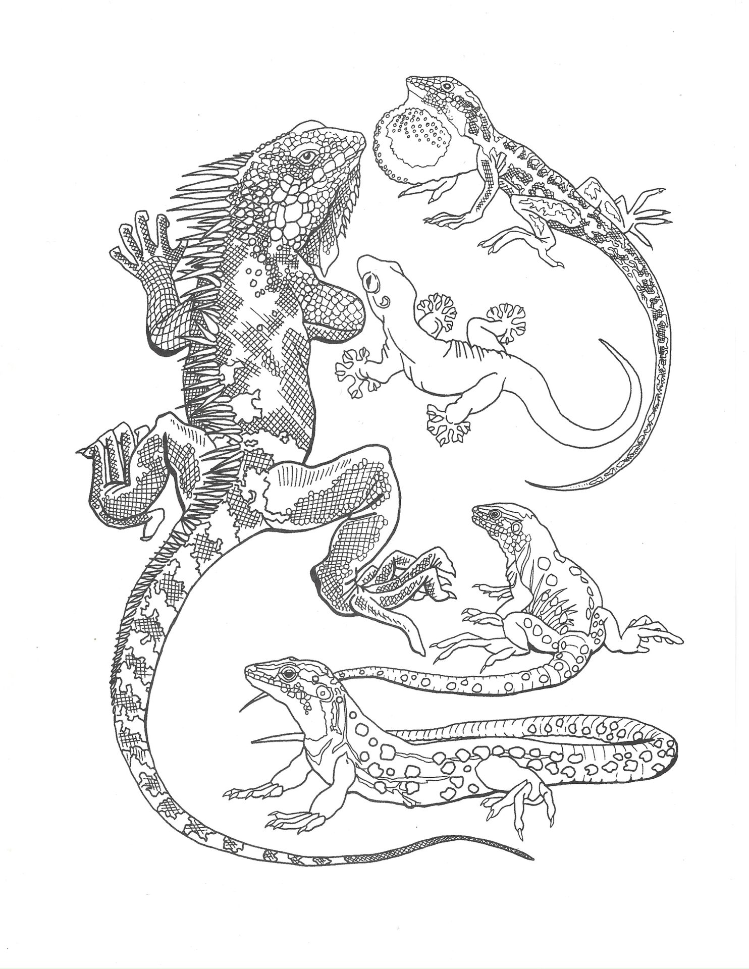 kleurplaat reptielen