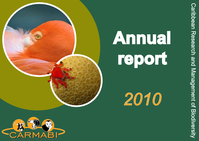 Annual report 2010