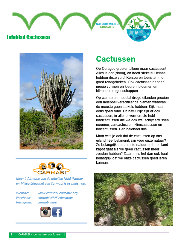 Carmabi cactussen NED